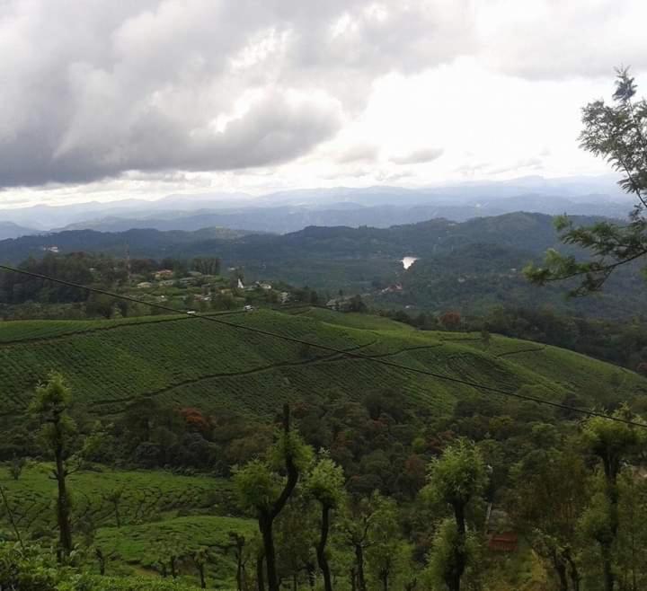 Munnar Lush Greens Екстер'єр фото