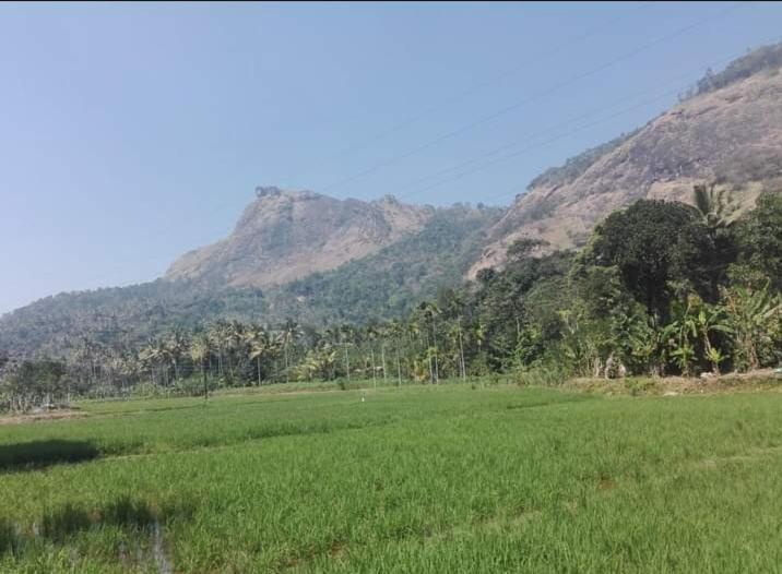 Munnar Lush Greens Екстер'єр фото
