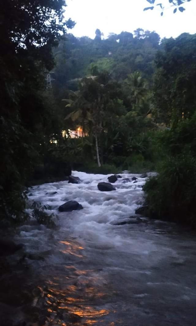 Munnar Lush Greens Екстер'єр фото