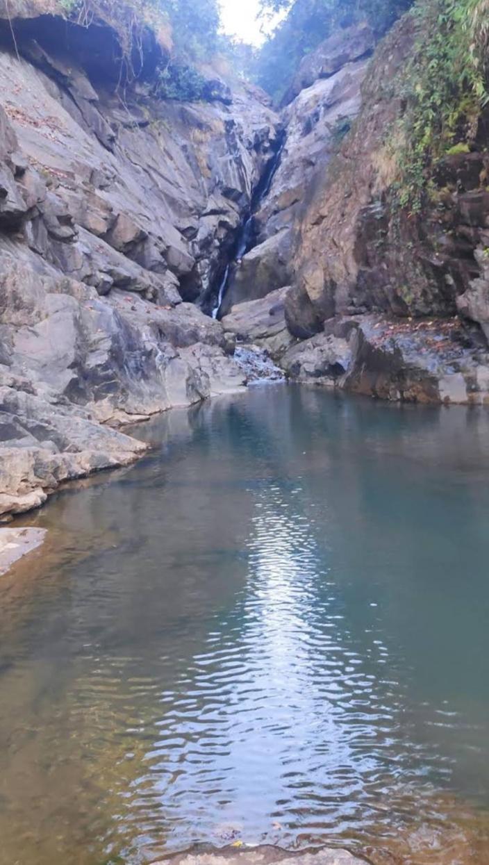 Munnar Lush Greens Екстер'єр фото
